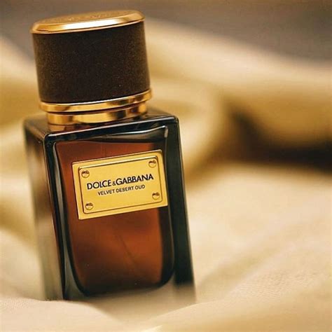 dolce gabbana velvet vetiver review|Dolce & Gabbana velvet desert oud.